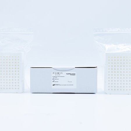 Bright White real-time PCR 96-well plates