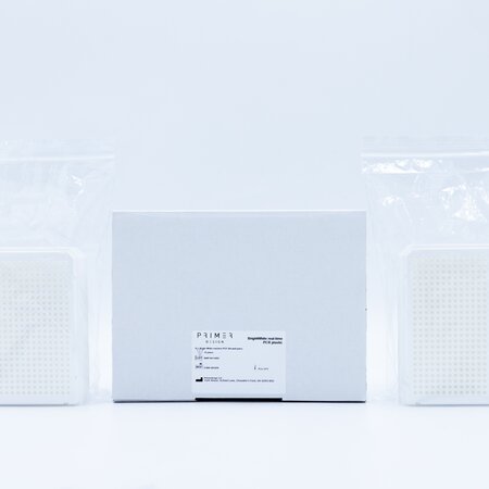 Bright White real-time PCR 384-well plates